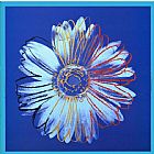 Daisy Blue on Blue